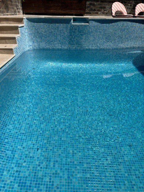 Leyla Pool Mosaic Rio