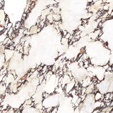 Wonderland Calacatta Viola 1200x1200mm Marble Look Tile