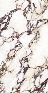Wonderland Calacatta Viola 600x1200mm Marble Look Tile