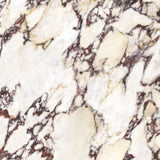 Wonderland Calacatta Viola 600x600mm Marble Look Tile