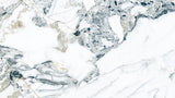 Kaolin Ice Jade 600x1200 Endless Vein 2.0 Silktec