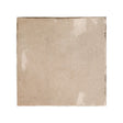 Majorca Taupe Gloss porcelain 100x100mm square tile, full tile on white background
