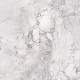 Aurora Super White Dolomite 600x600mm Marble Look Tile
