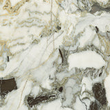 Wonderland White Beauty 600x600mm Marble Look Tile