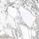 Superb Marble Arabescato 1200x1200mm Marble Look Tile