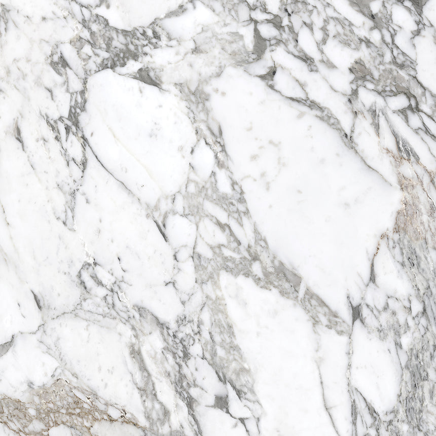 Superb Marble Arabescato 1200x1200mm Marble Look Tile